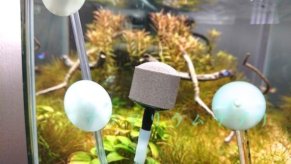 発酵式CO2エアストーン比較いぶきセラミックエアストーン直径25ミリ丸#180