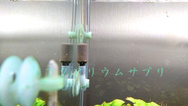 発酵式CO2のエアストーン比較いぶきセラミックエアストーン直径10ミリ丸#180