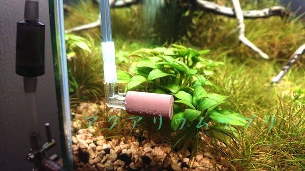 発酵式CO2のエアストーン比較アンビリーバブルCO2 L-TypeCO2ストーン