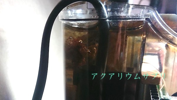 外掛けフィルターのピートモス量