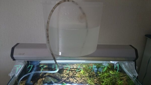 ミニ水槽の足し水(給水)方法