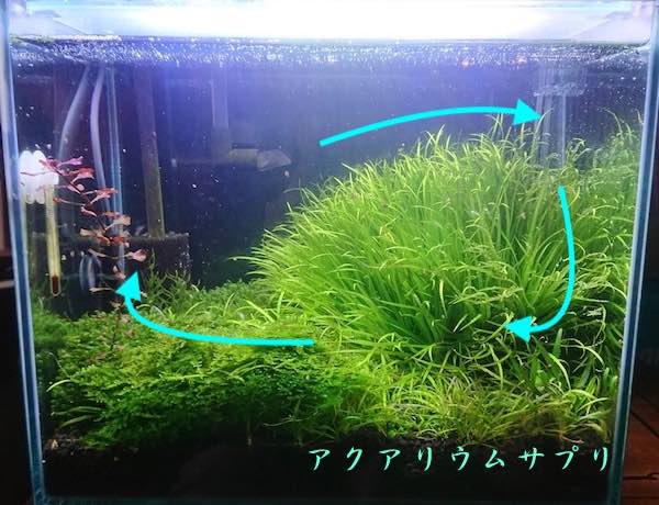 水槽全体に流れる水流の作り方