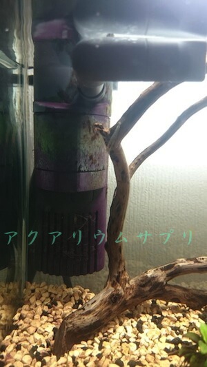 アクアコンパクト2004の使い勝手と掃除の流れ