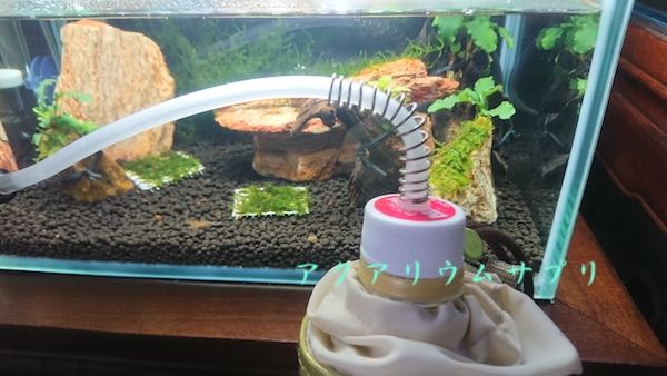 キャップ部のチューブ折れ対策に押しバネ(スプリング)