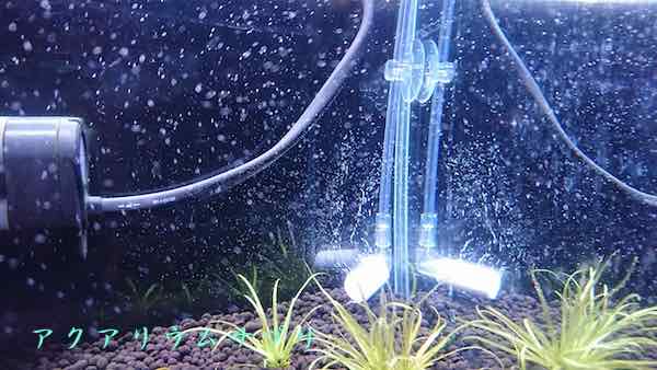 外気温11度、チューブ長45cm、セットして4日目の発酵式CO2添加具合