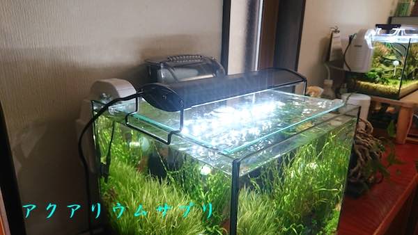 ぴたっとファンサーモプラスMを30cmキューブ水槽に設置した感想