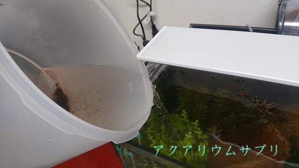 他水槽の動物プランクトンを汚泥ごと投入