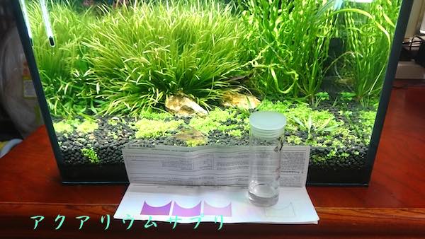 30cmキューブ水草水槽の鉄分濃度を計測