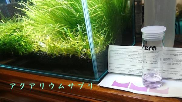 鉄分過剰な30cm水草水槽