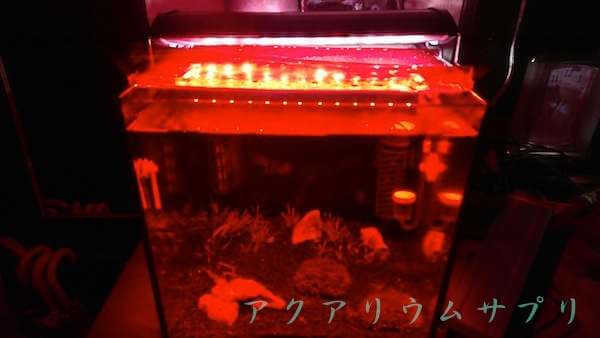アクロOVALブライト300の赤波長の強さ
