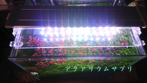 水草水槽におすすめ照明は?LED照明の選び方