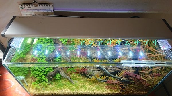 ロータイプ水槽にGEXクリアLEDパワー3照明で水草育成