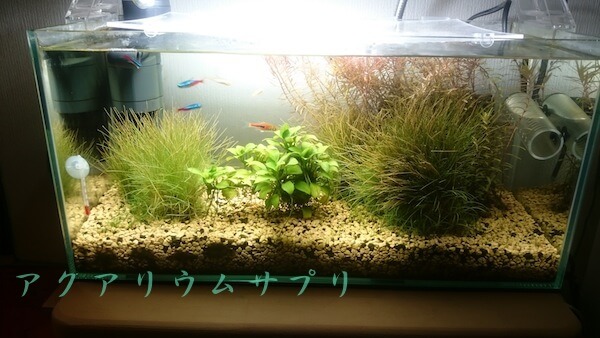 45cmショート水槽の照明増設