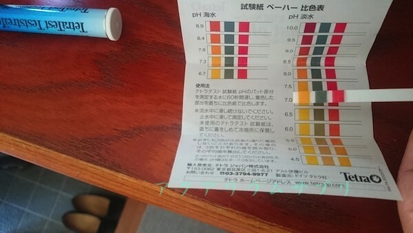 pH試験紙（テスター）で水質を確認