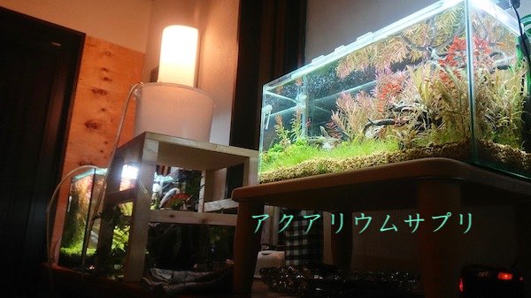 エアチューブ等で水換え風景