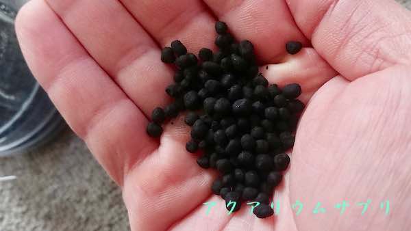 ソイルは水草水槽に適した土として登場