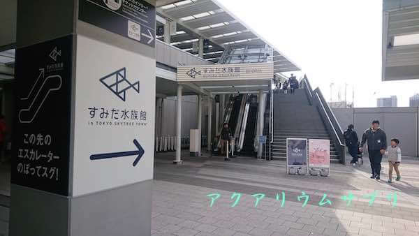 すみだ水族館のネイチャーアクアリウム訪問!