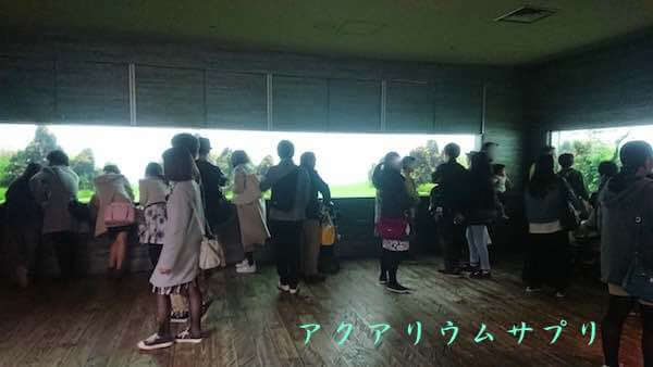 7メートル幅パノラマ水槽inすみだ水族館