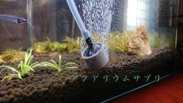 水草水槽立ち上げにおすすめエアーポンプとエアストーン