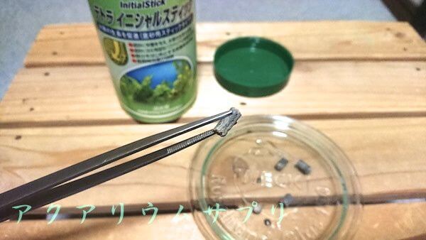 水質測定後にTetraイニシャルスティックを埋め込む