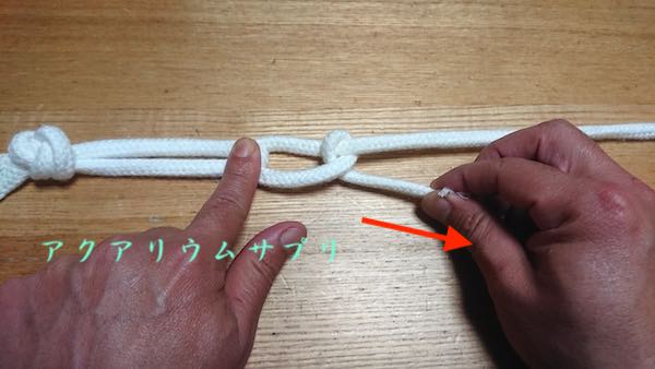 ウィローモスを巻くテグスの縛り方6