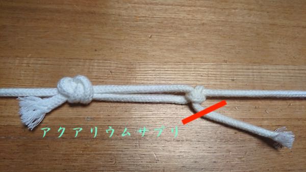 ウィローモスを巻くテグスの縛り方7